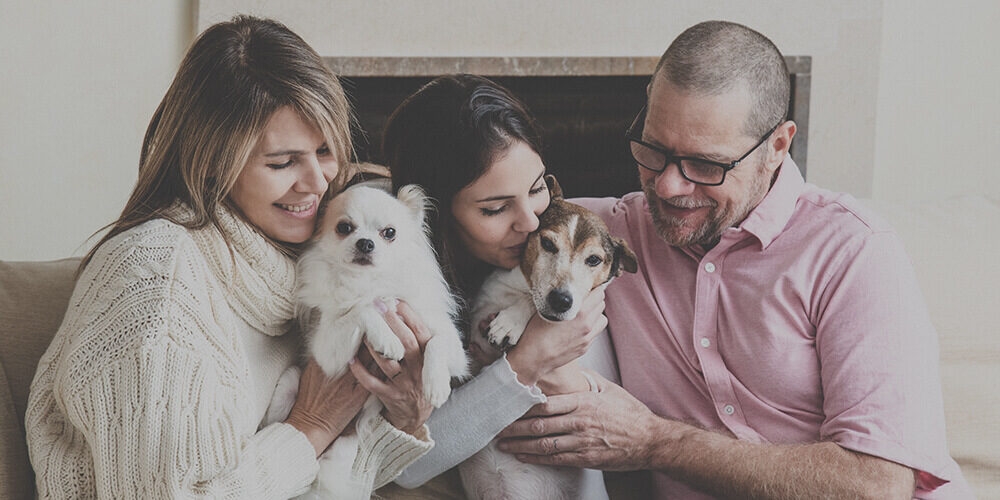 studio della brand identity e della comunicazione online per azienda di cremazione animali domestici